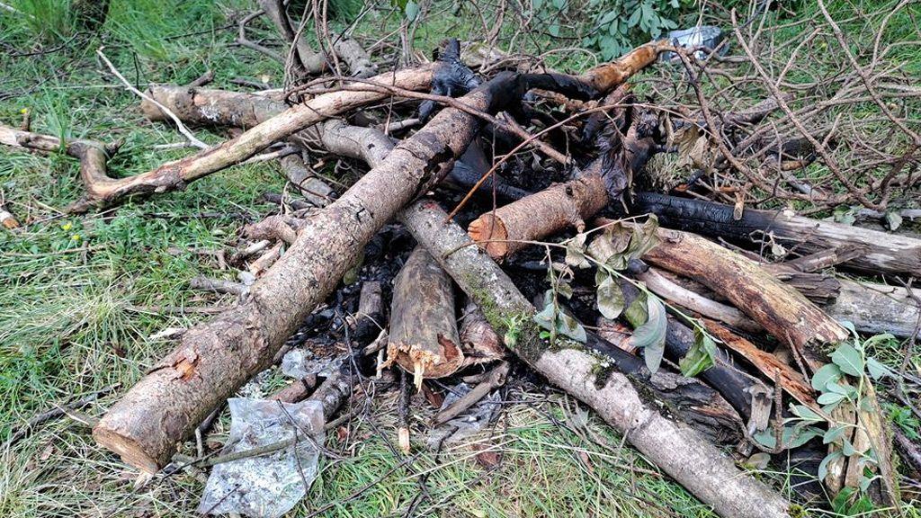 A pile of logs which are charred from having been set on fire. The logs are large and show signs they have just been cut down. They are lying in a pile on top of grass.