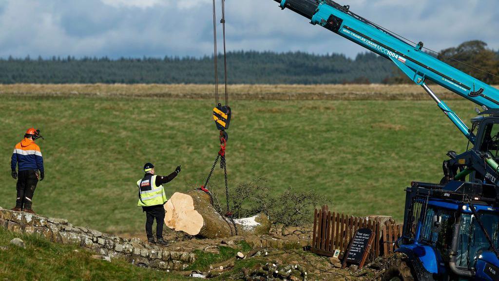 Two workers giving directions to remove the tree felled at Sycamore Gap using a crane 