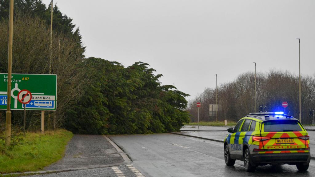 Police car on a road in front of a huge tree that has fallen. There is a road sign to the left.