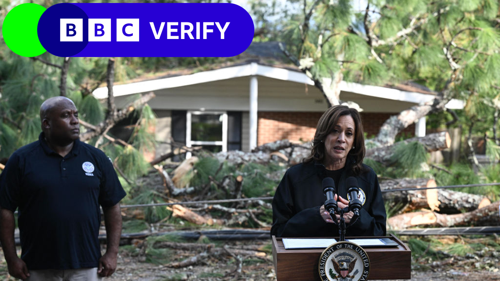 Kamala Harris stands in front of a lectern alongside Fema Deputy Administrator Erik Hooks after surveying the damage from Hurricane Helene in Georgia. 