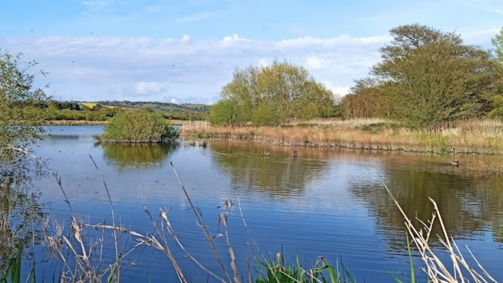 Mercers Lake, Redhill