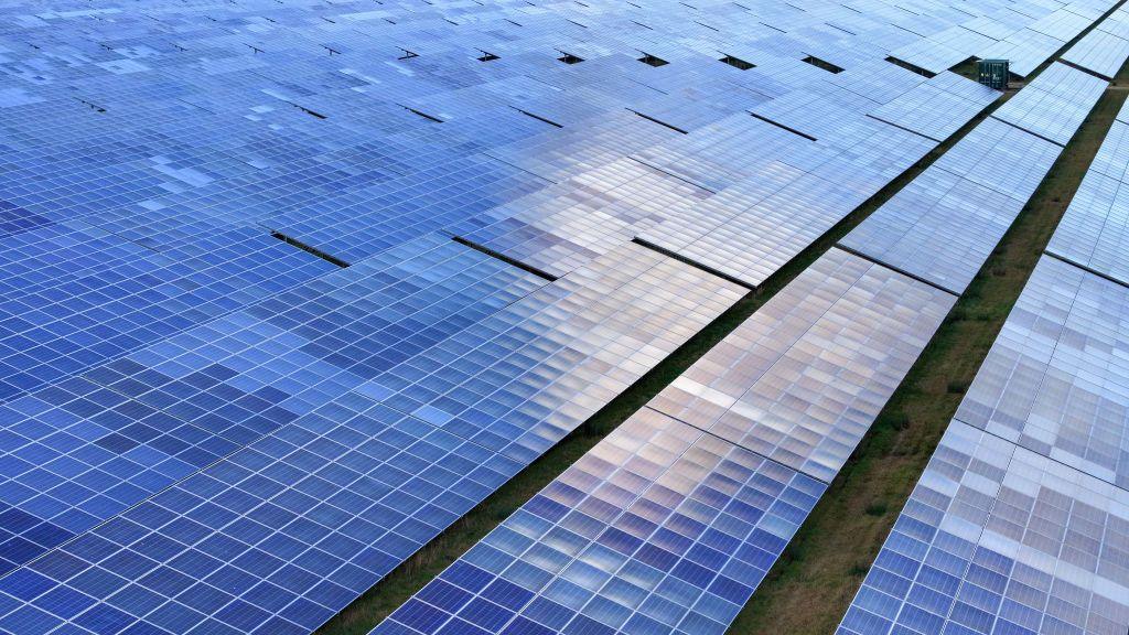 Rows of shiny black solar panels are lined up across a green field in a solar farm, each of them reflecting the sunlight