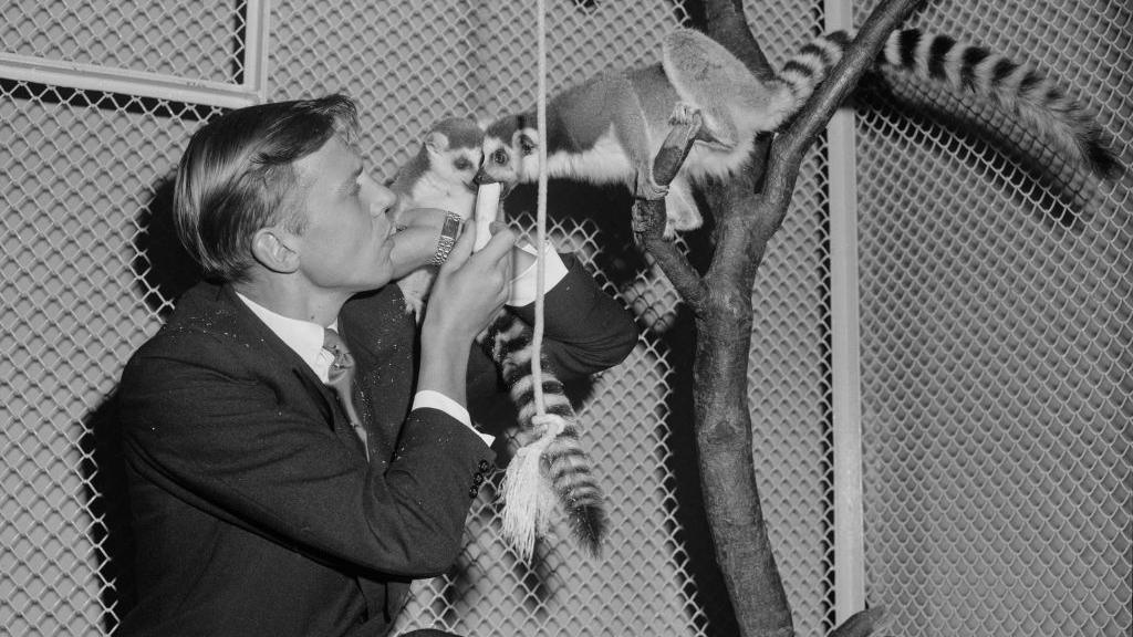 Sir David feeding lemurs.