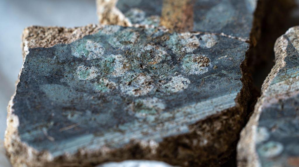 Three fragments of plaster with white dots representing mistletoe on a black background on two of the pieces which have been joined together as part of the huge jigsaw puzzle. There's also a white line running across two of the pieces just below the white berries.