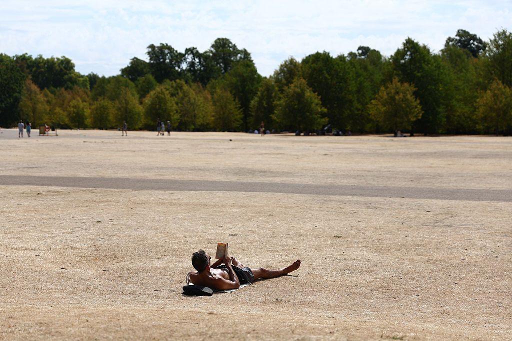 A man lies in the sun reading a book. He is lying in a field of dried yellow grass 