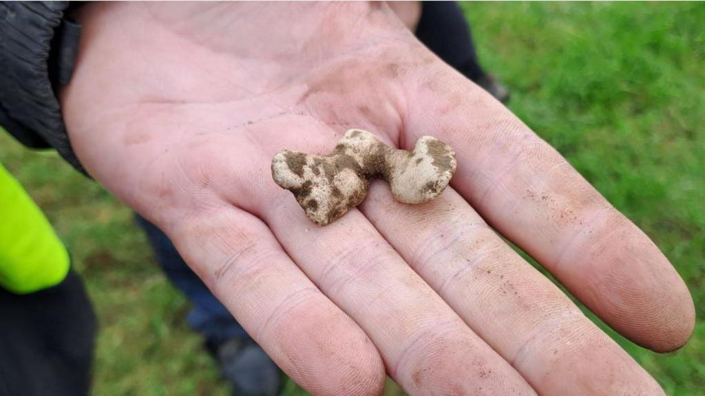 A hand holding an artefact which is a light brown colour with dark brown patches.
