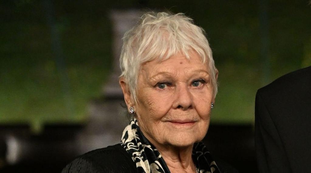 Dame Judi Dench në një foto kokë e këmbë në premierën e filmit "Finding Harmony"
