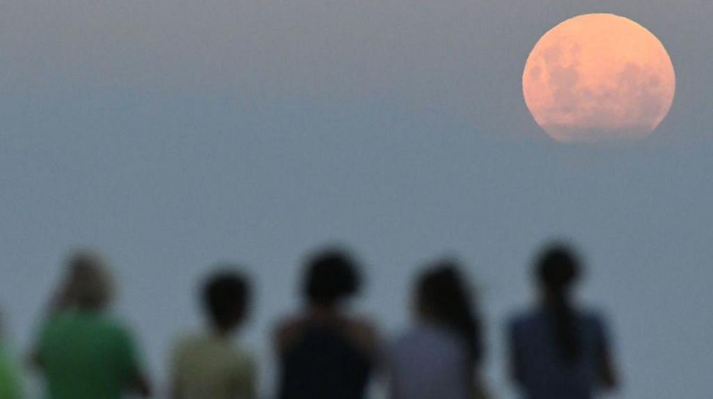  Crowds gather on the Marine Parade Beach to watch the moon rise on January 31, 2018 in Napier, New Zealand.