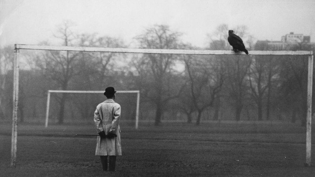 Goldie the eagle perched on top of a football goal frame while a man wearing a hat and coat stands with his back to the camera