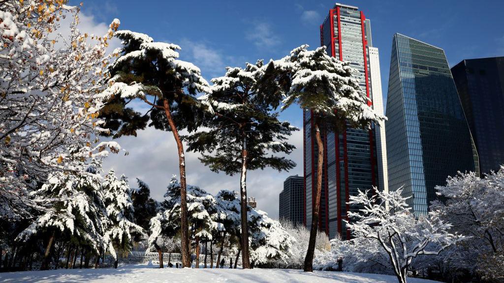 Snow-covered trees stand in front of skyscrapers in Yeouido Park.