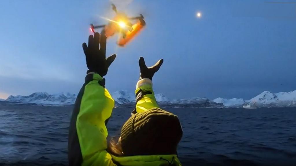 Drones Detect Deadly Virus in Arctic Whales Through Breath Analysis