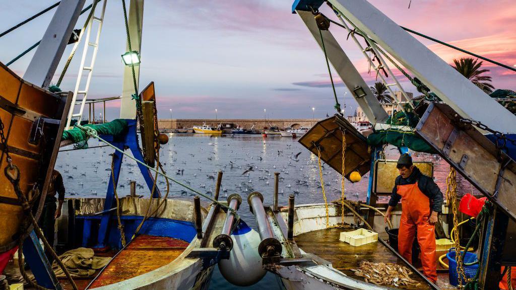 Fishermen sorting the catch from the trawl fishery