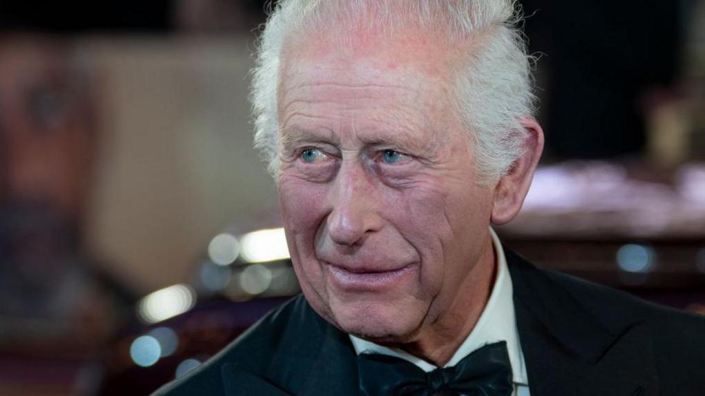 King Charles attends a movie premiere in London. 