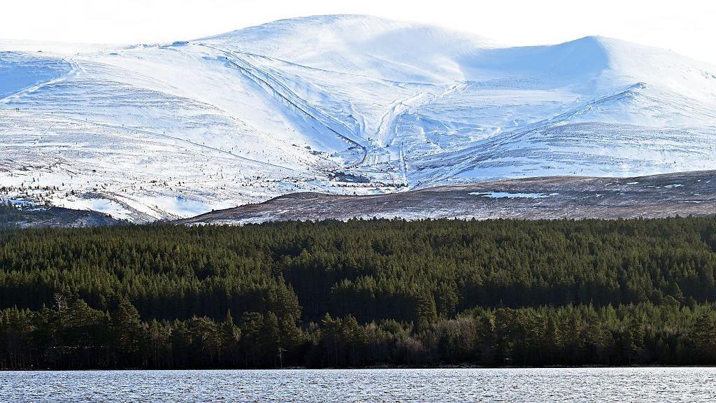 The Cairngorms snowy mountains have a green forest below them with a river beneath. 