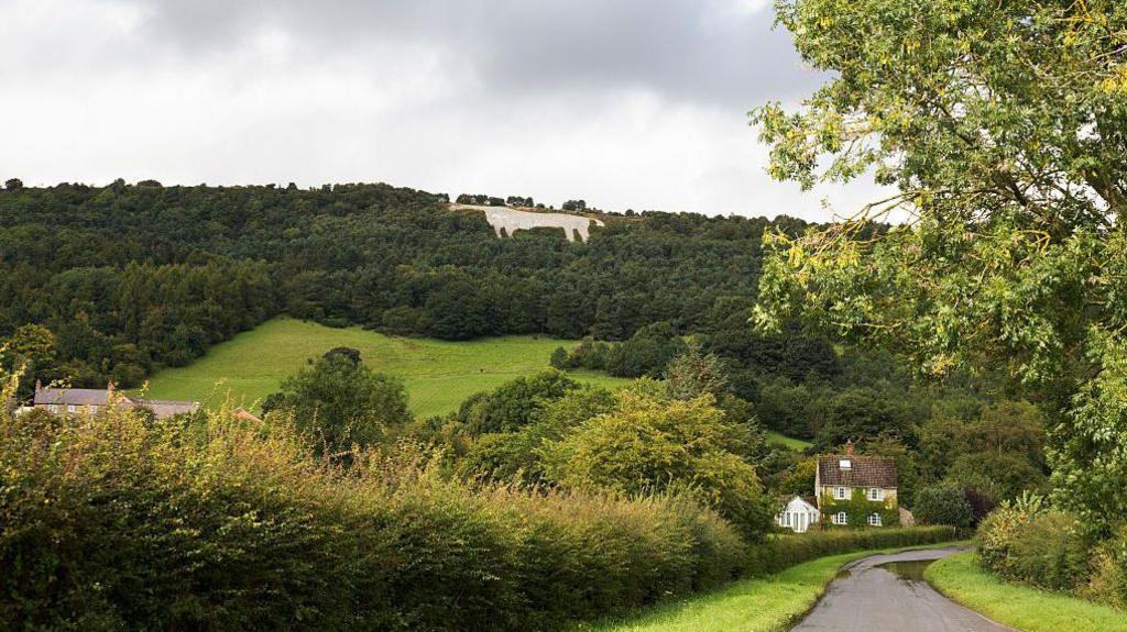 Woodland, a country lane and a chalk horse on the hillside