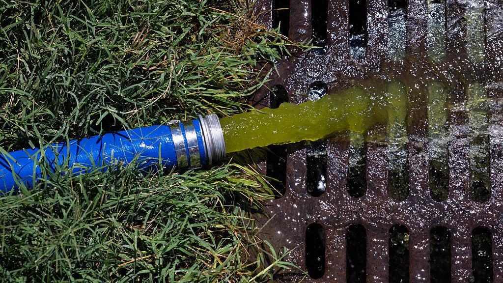 Green water is being pumped out, through a hose, and into a drain