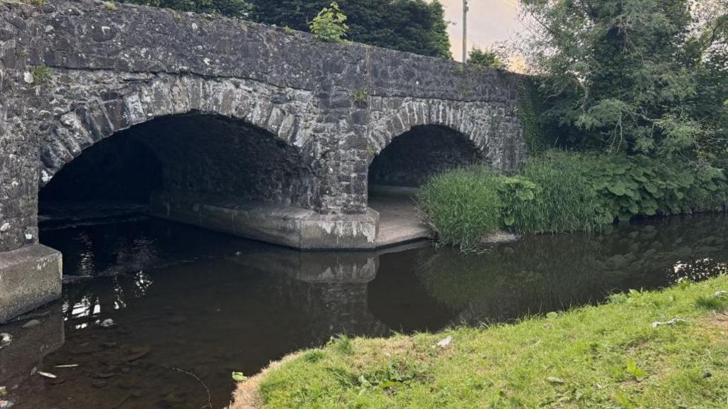 The dead fish were found on Wednesday evening on a stretch of the Glenavy River