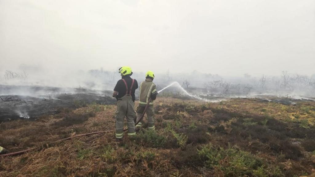 Two firefighters using hosepipes on damaged heath 