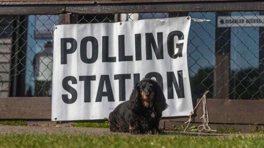 Small dog sits in front of a sign saying polling station.