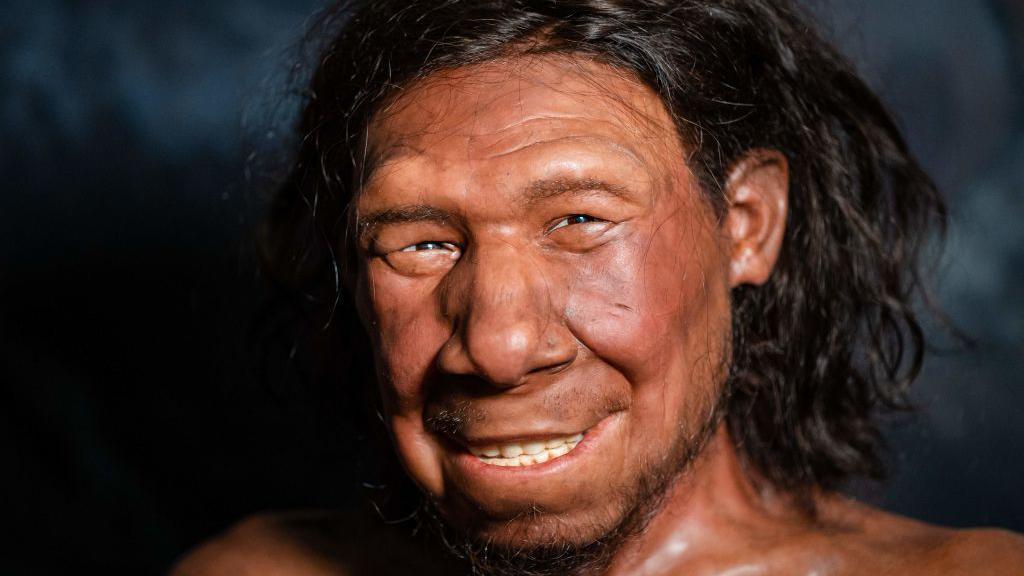 a model of a neanderthal smiling