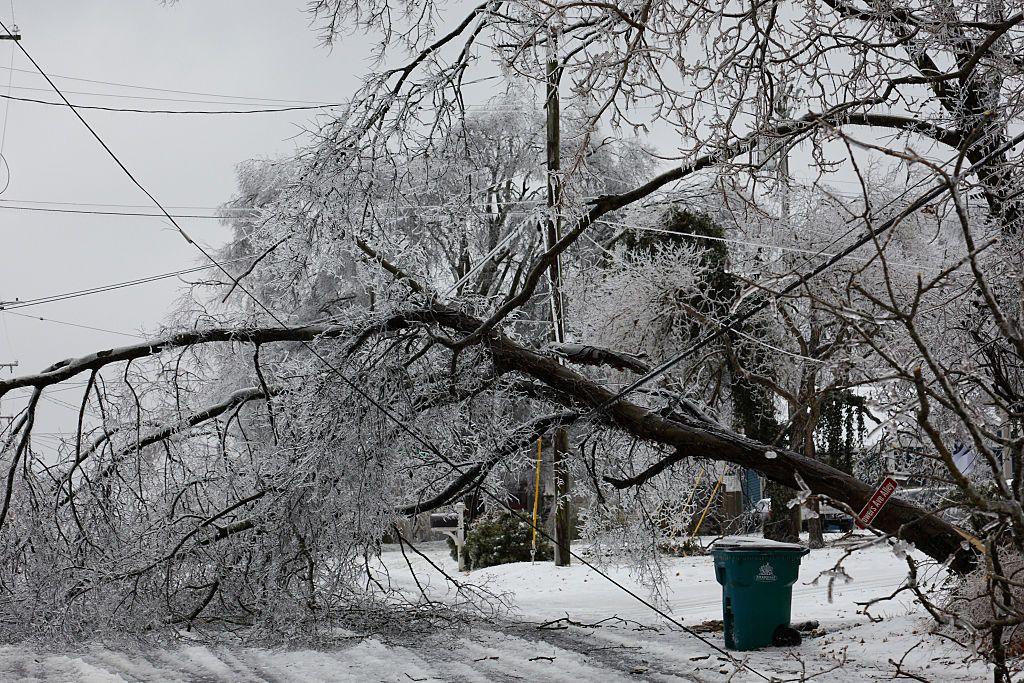 A tipped over, ice-covered tree leans on power lines during a winter storm in east Nashville, Tennessee.