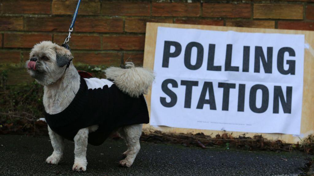 A dog outside a polling station in Hull in 2019