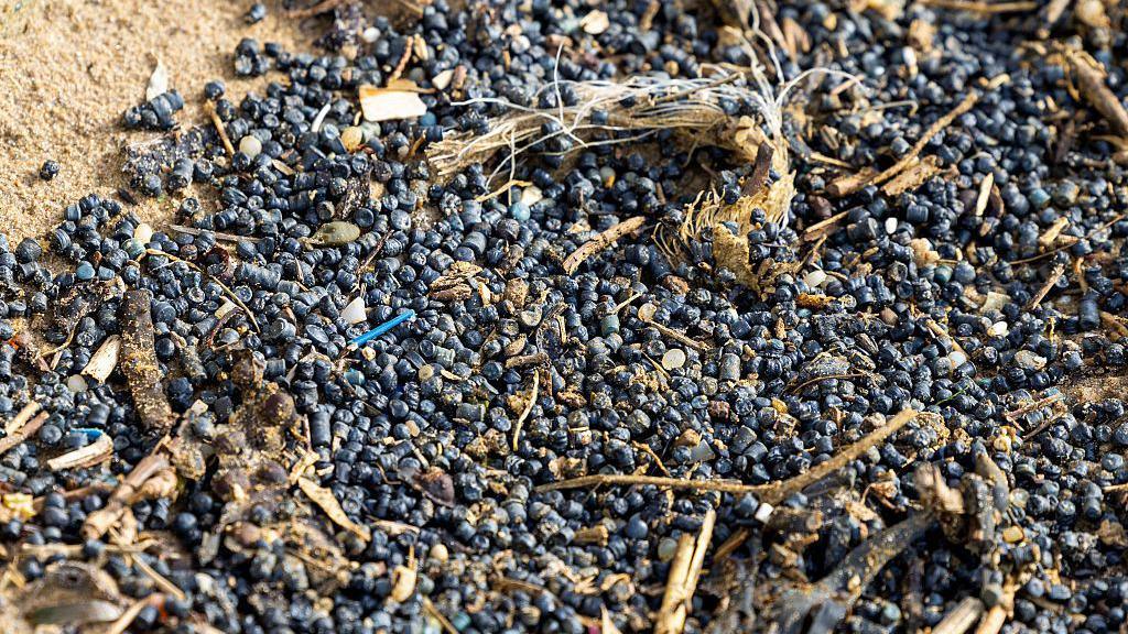 Hundreds of small black biobeads on a sandy beach