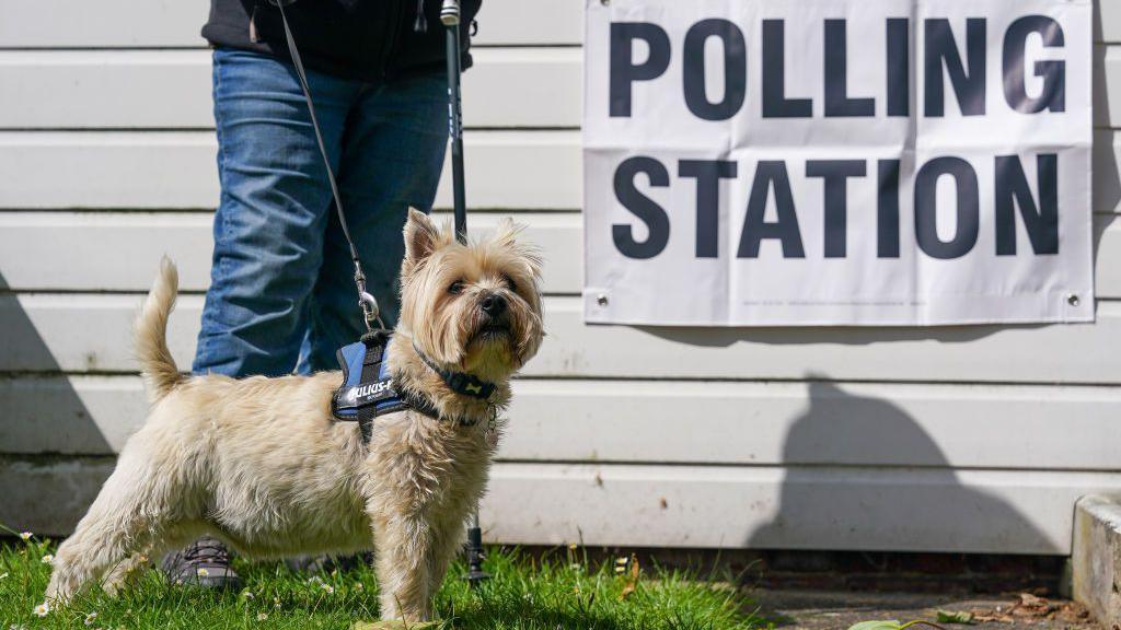 A person is standing behind a dog on a lead. The dog is small and is a beige and white colour, on a building behind it there is a large white sign that reads "polling station" in black letters.