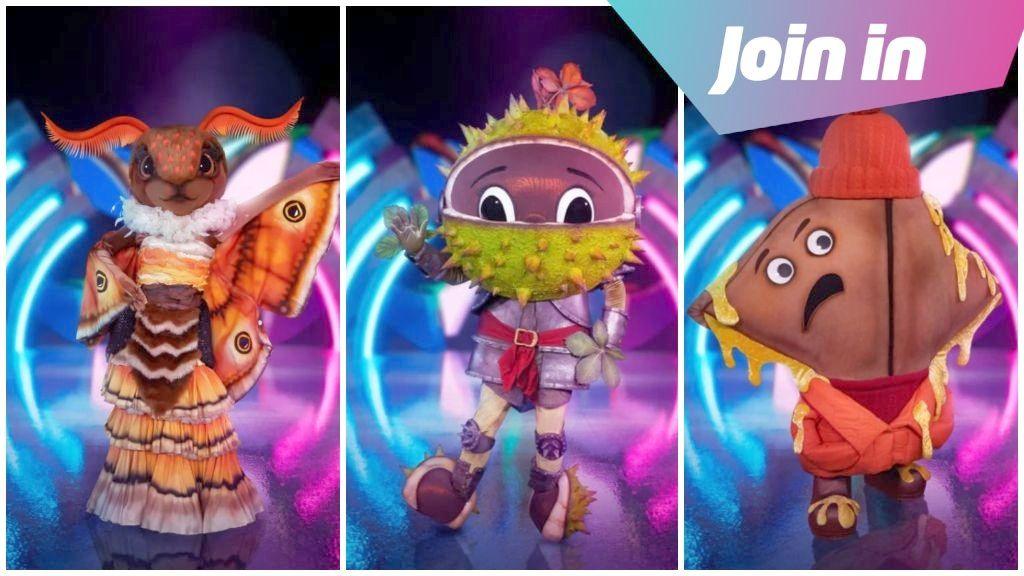 moth, conkers and toastie on the masked singer
