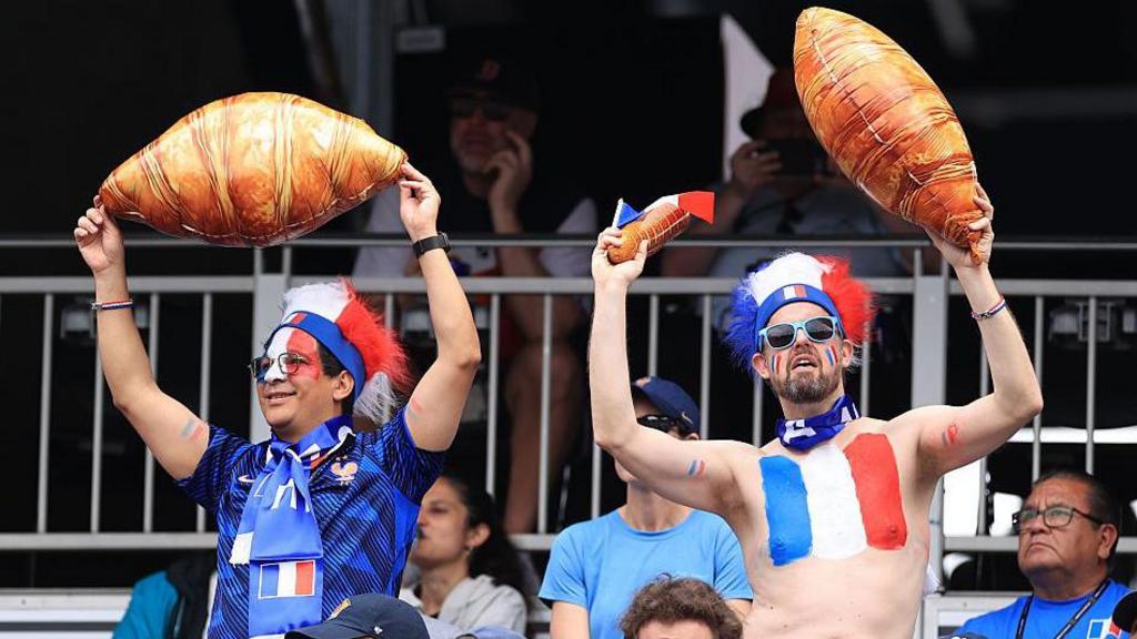 France fans