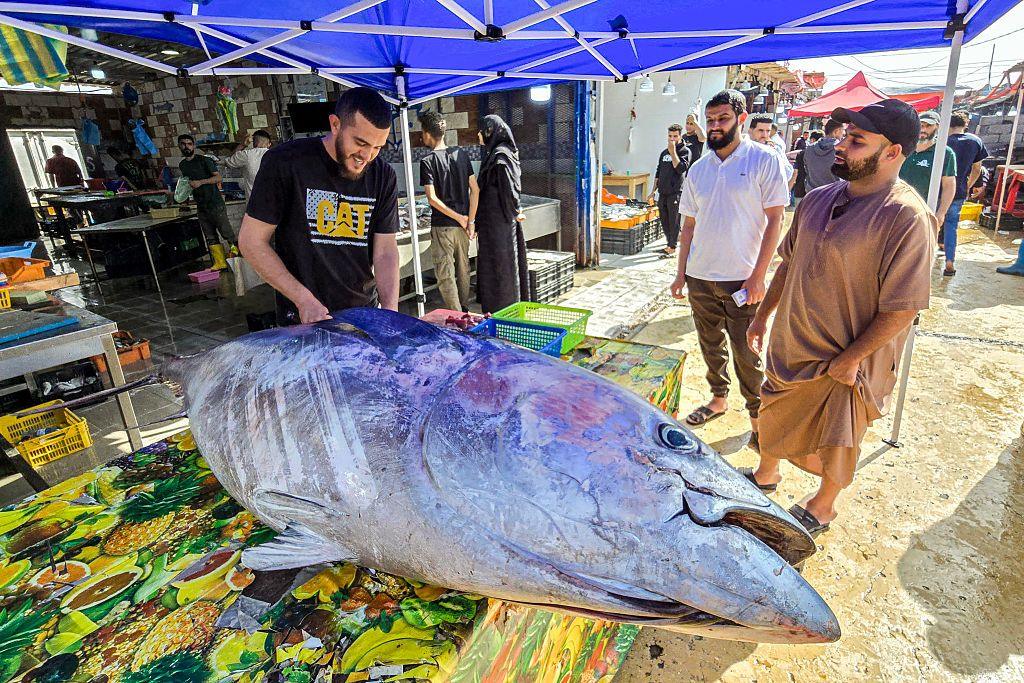 A merchant carves a tuna fish at his stall at the fish market in Tripoli.