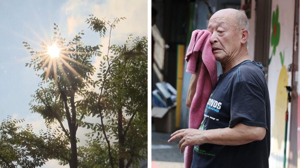 Record heatwave in South Korea as temperatures soar to 42.5C