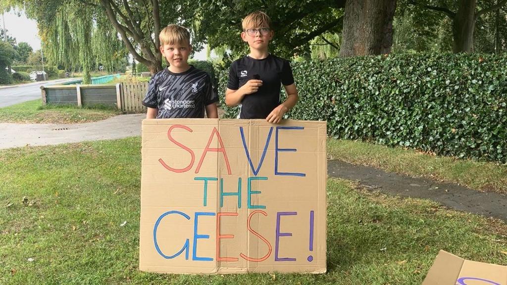 Two young boys hold up a cardboard sign, which reads "Save the geese!"