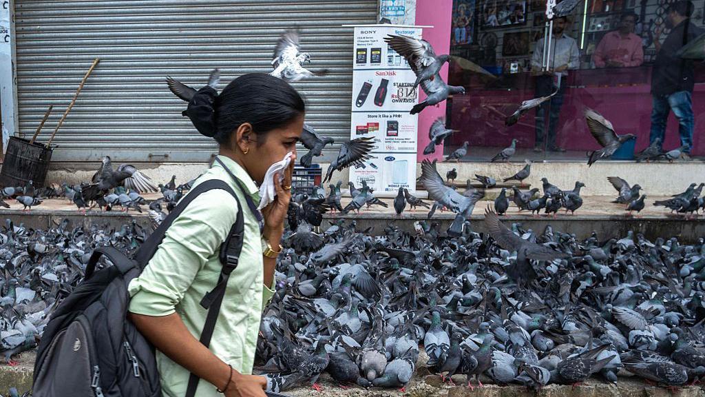 Brihanmumbai Municipal Corporation (BMC) covered the Dadar Kabutarkhana with large plastic sheets following a Bombay High Court directive banning pigeon feeding at designated spots across, on August 3, 2025 in Mumbai, India.