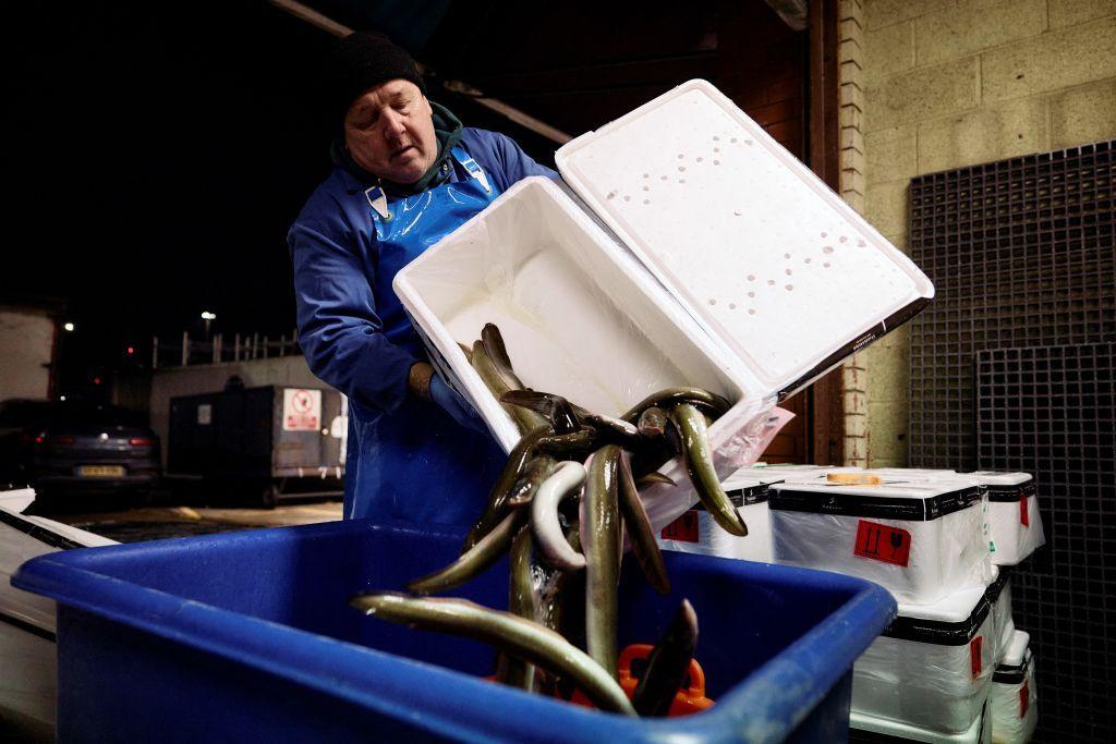 A fishmonger tips eels into a container at Billingsgate fish market, in London, in the early hours of January 17, 2025.