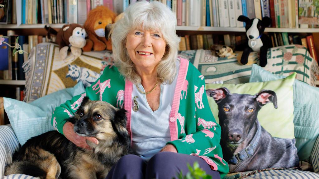 Cooper on sofa with dogs 