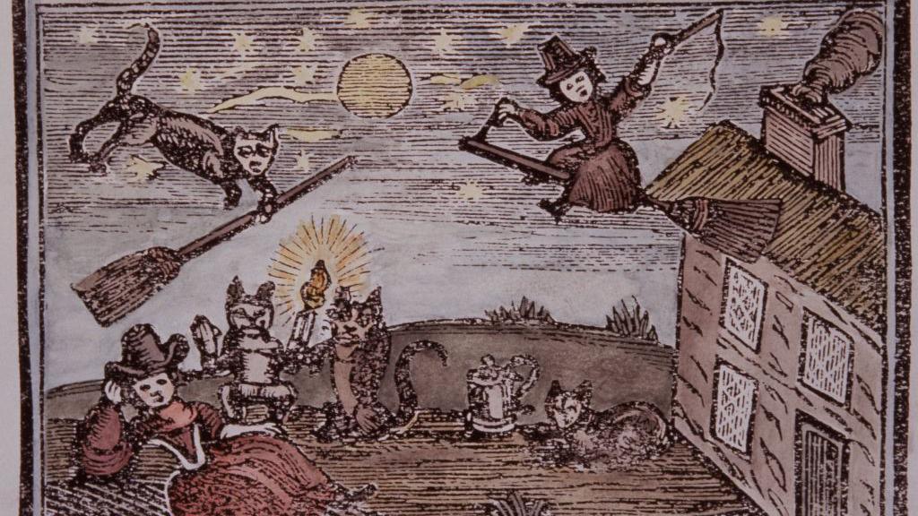 a picture from the middle ages of what people thought witches looked like. riding broomsticks with cats.