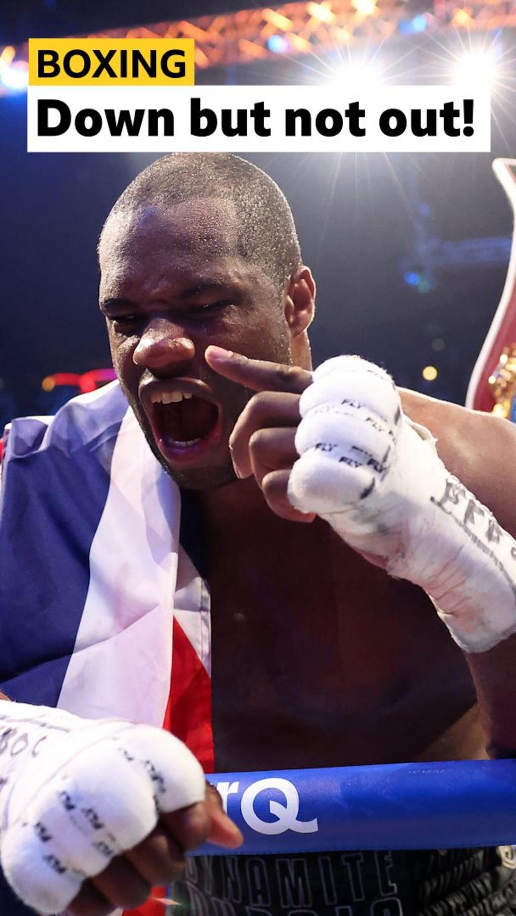 Boxing: Daniel Dubois rises twice to stop Fabio Wardley in 11th round ...