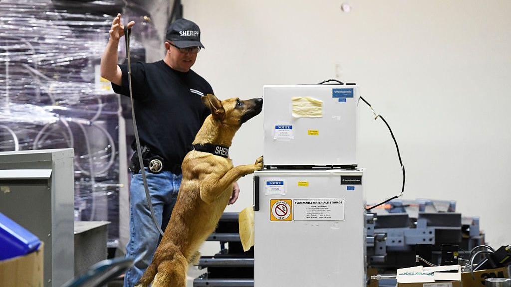 sniffer dog examining a fridge