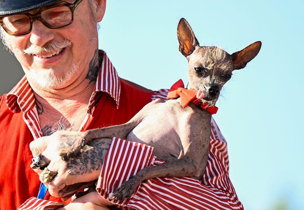 A man in a red and white striped shirt and red waistcoat holds a dog with a red bow tie.