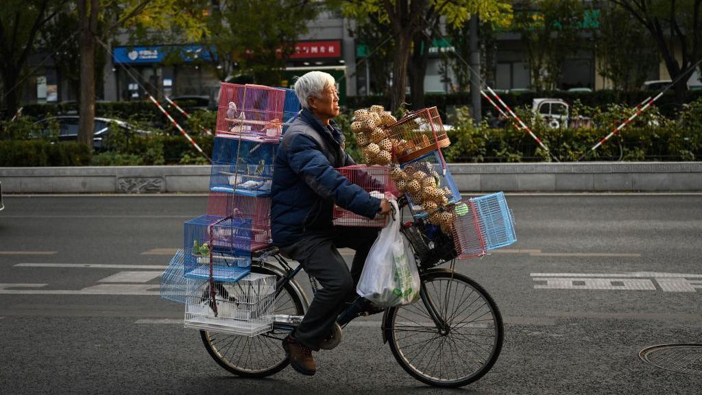 An elderly man rides a bicycle with bird cages on a street in Beijing on November 20, 2023. Behind him are bushes. The cages are red, white and blue