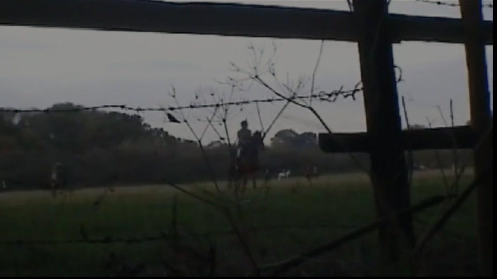 Footage filmed by hunt monitors