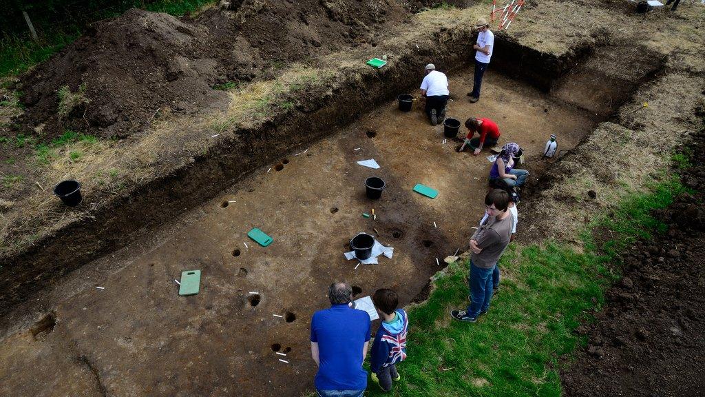 Flag Fen trench