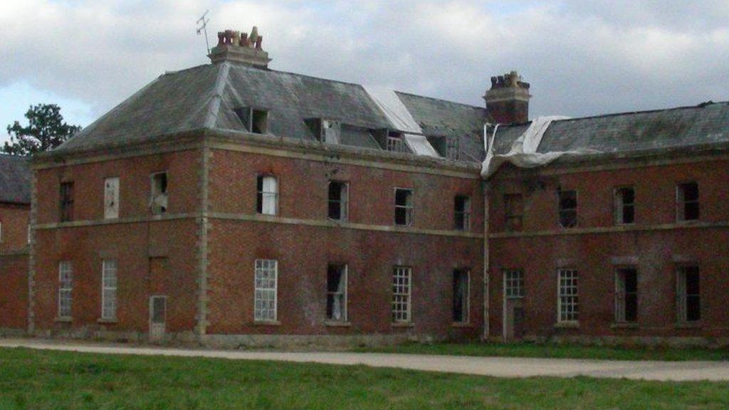 Croome Court's Red Wing, pictured in 1990