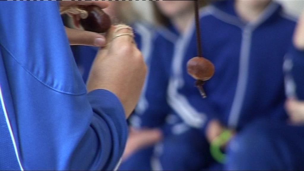 Conkers at Cleve House School, Bristol