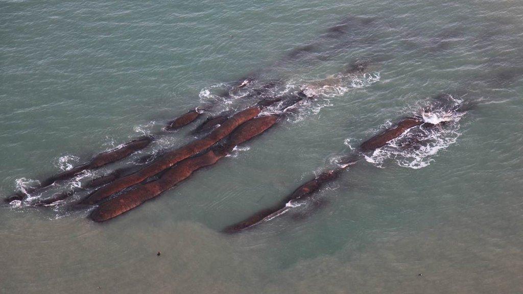 Boscombe surf reef