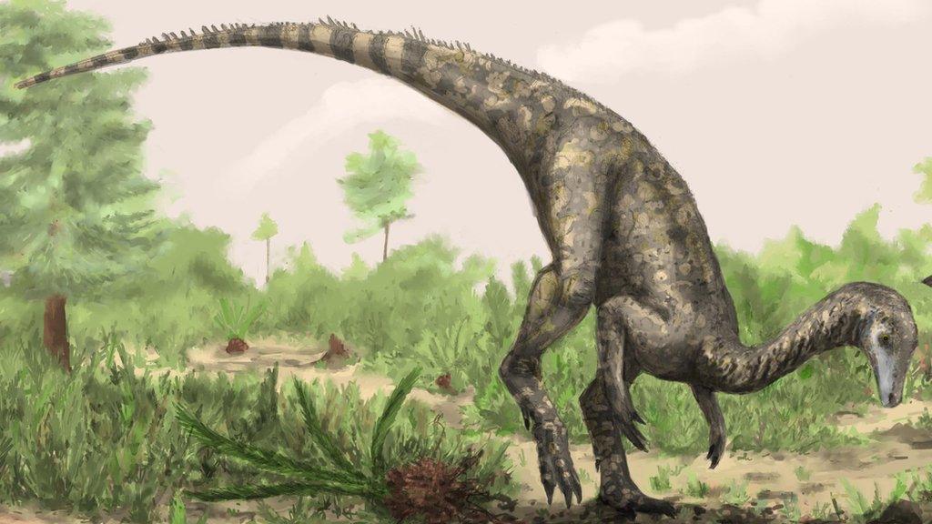 Artist's conception of Nyasasaurus parringtoni