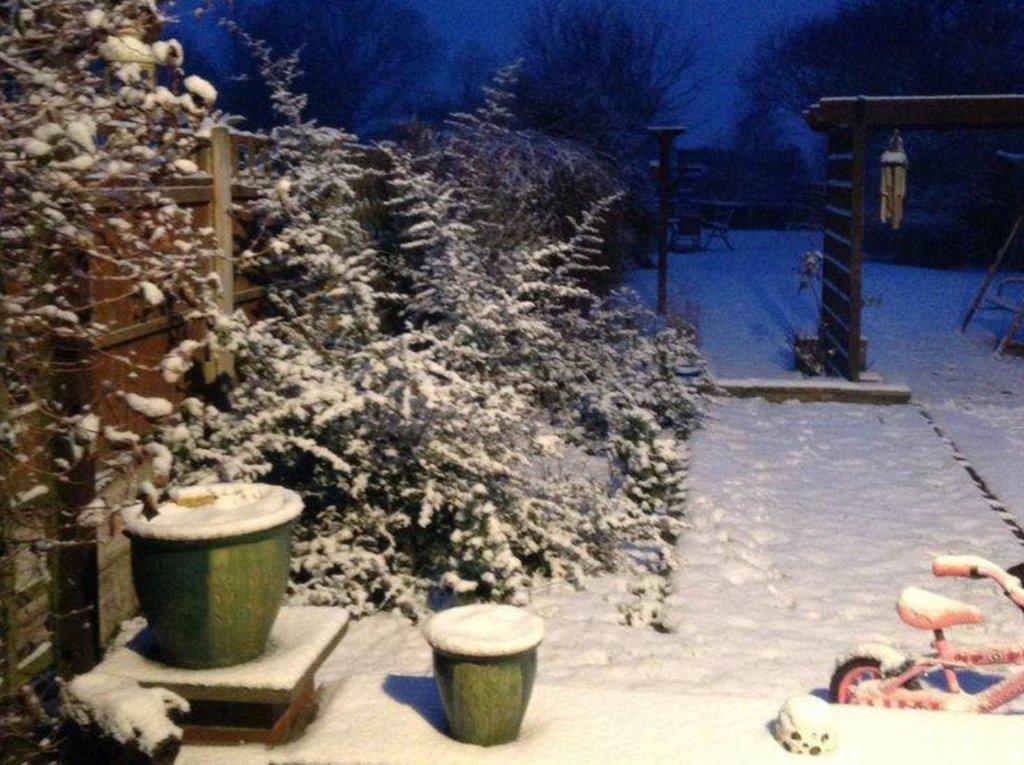 Garden covered in snow