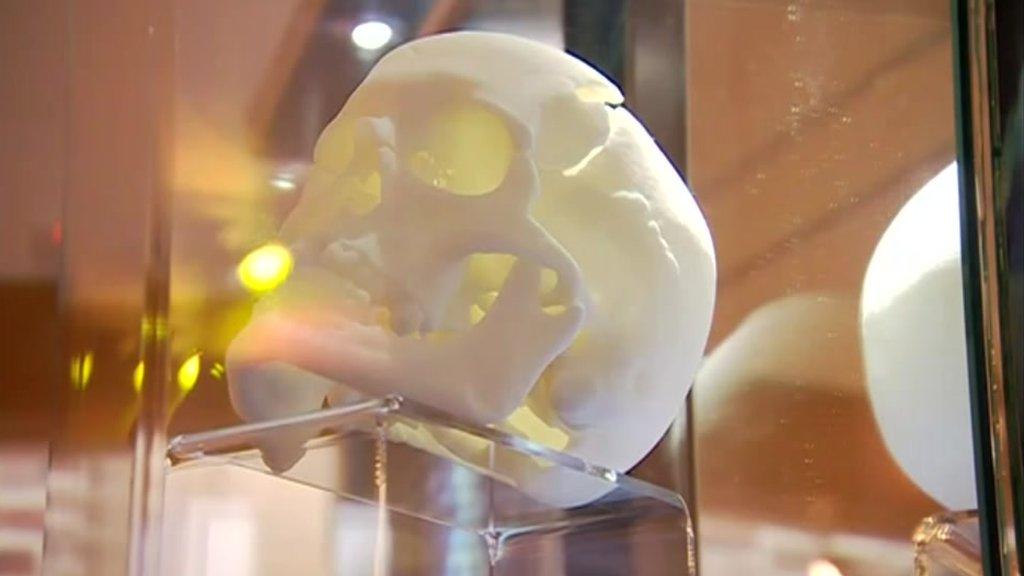 Replica skull of Richard III