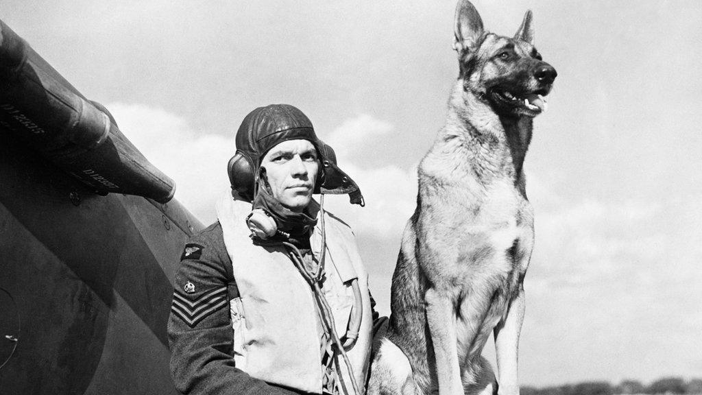 George ‘Grumpy’ Unwin and his Alsatian Flash at RAF Duxford